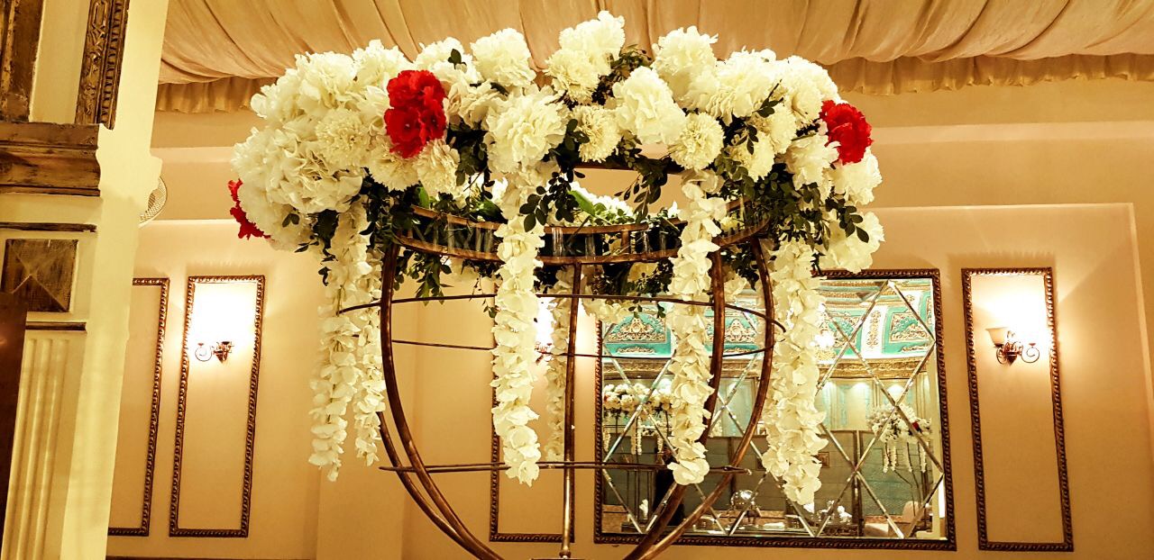 Branch Image